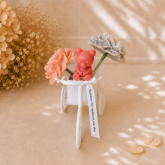 VANI Teddy White Bicycle —προσωπική αφιέρωση στην κορδέλα