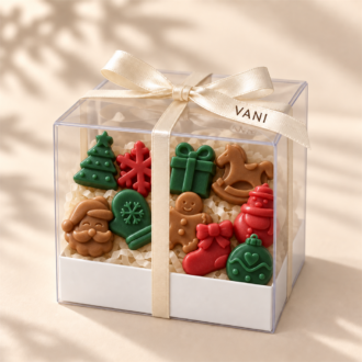 VANI Χριστουγεννιάτικα Wax Melts